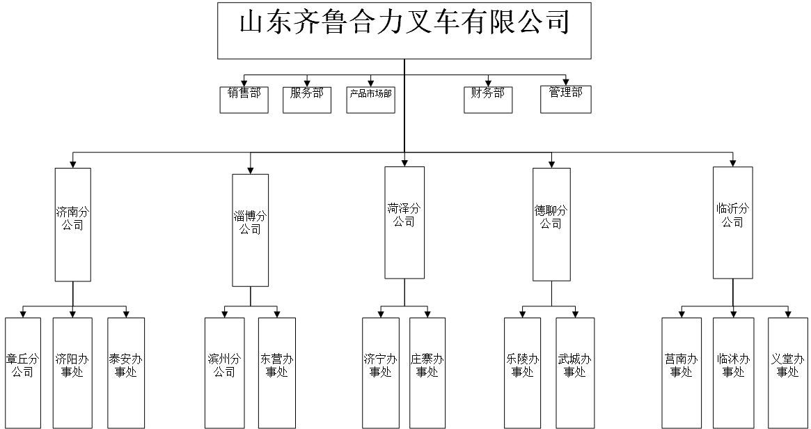 齐鲁尊龙凯时组织机构图.jpg